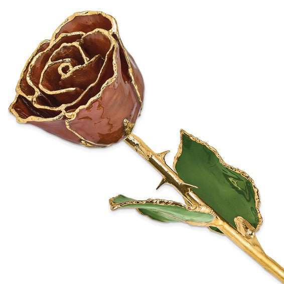 24K Gold Dipped Lacquered Cinnamon Pearl Genuine Rose
