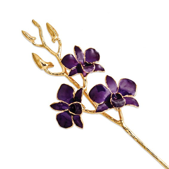 Tallo de orquídea Dendrobium real púrpura recortado en oro bañado en laca