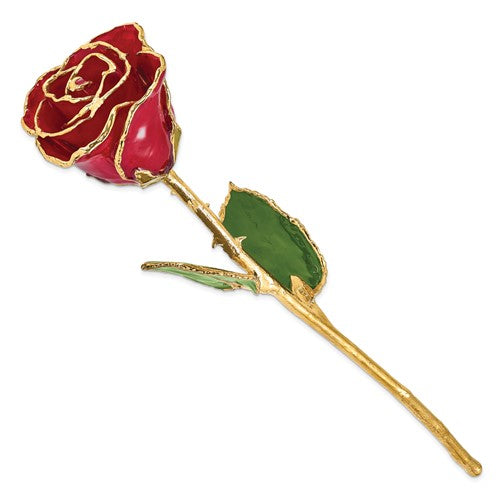 Rosa genuina roja lacada bañada en oro de 24 quilates