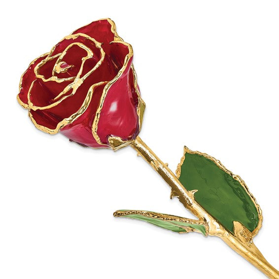 Rosa genuina roja lacada bañada en oro de 24 quilates