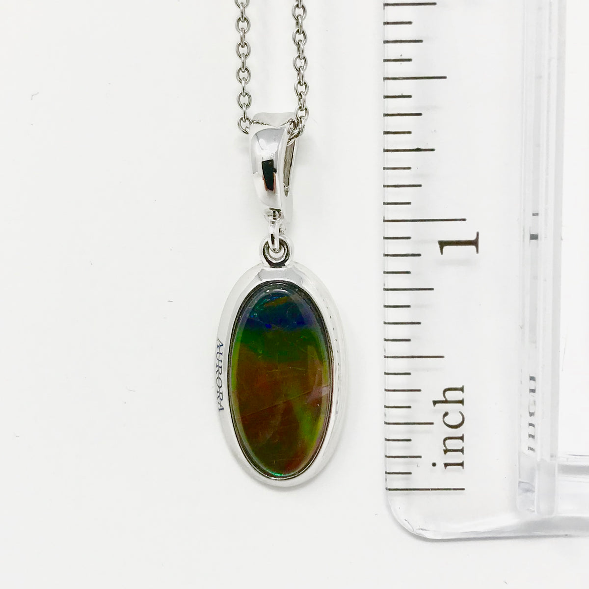 Ammolite Pendant