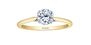 18K Yellow and Palladium Gold 0.536cttw Canadian Diamond Ring - Size 6.25