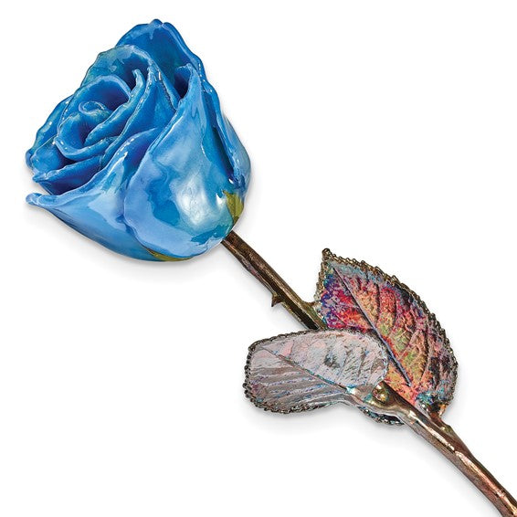 Blue rose with a colorful leaf on a white background