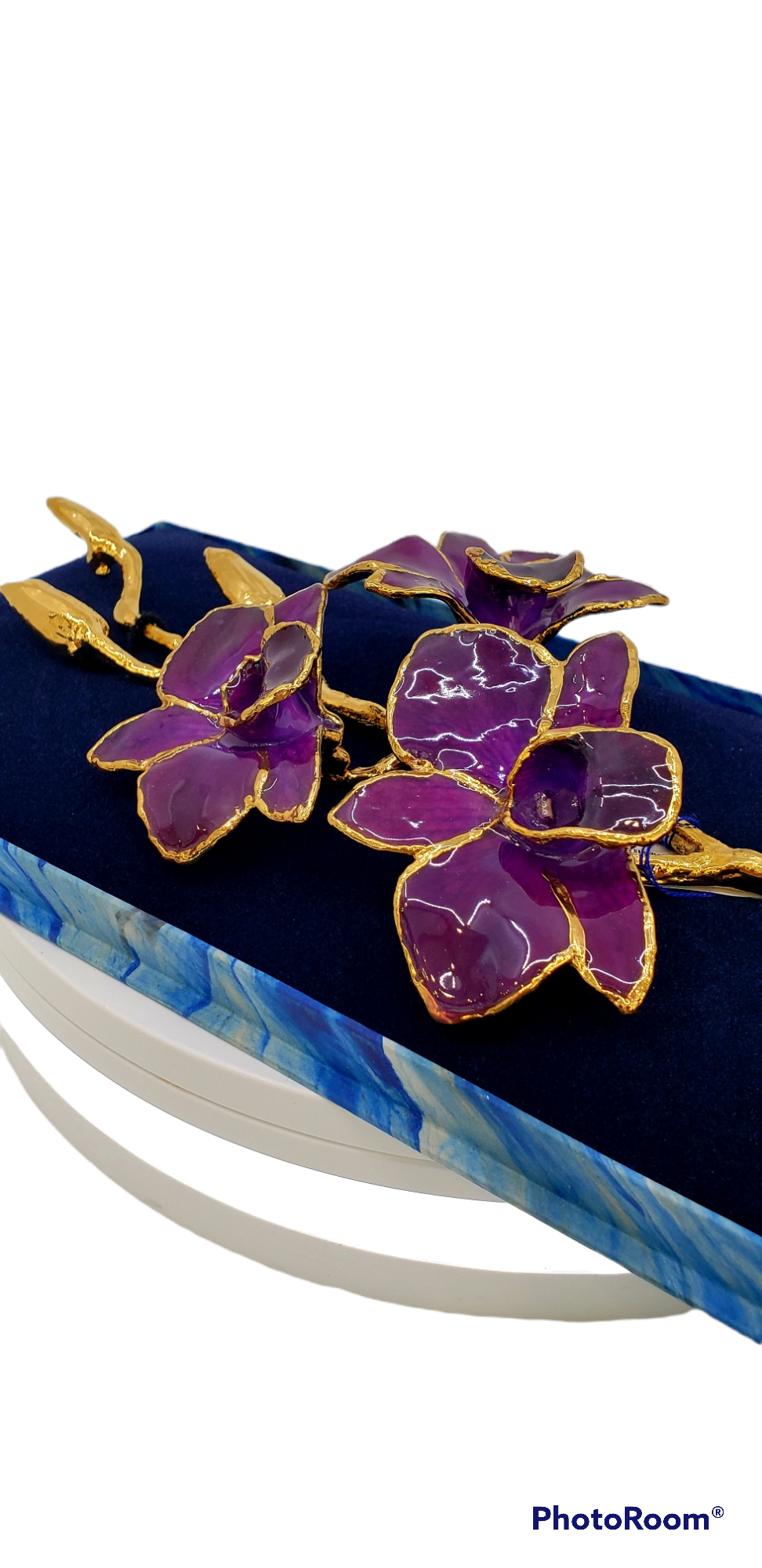 Lacquer Dipped Gold Trimmed Purple Real Dendrobium Orchid Stem