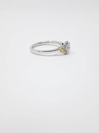 Canadian Diamond Engagement Ring