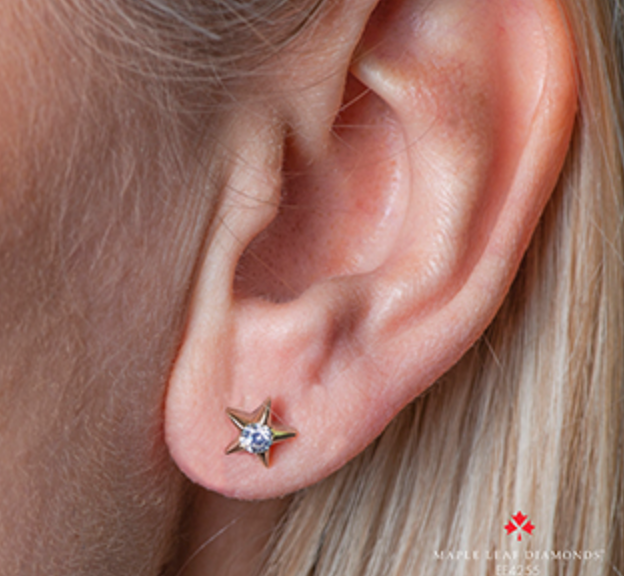10K Yellow Gold 0.12-0.28cttw Canadian Diamond Star Stud Earrings
