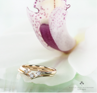 Anillo de diamantes canadienses de oro amarillo de 14 quilates de 0,08 quilates, talla 6,5