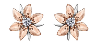 14K Rose and White Gold 0.13cttw Saskatchewan Provincial Flower Diamond Stud Earrings