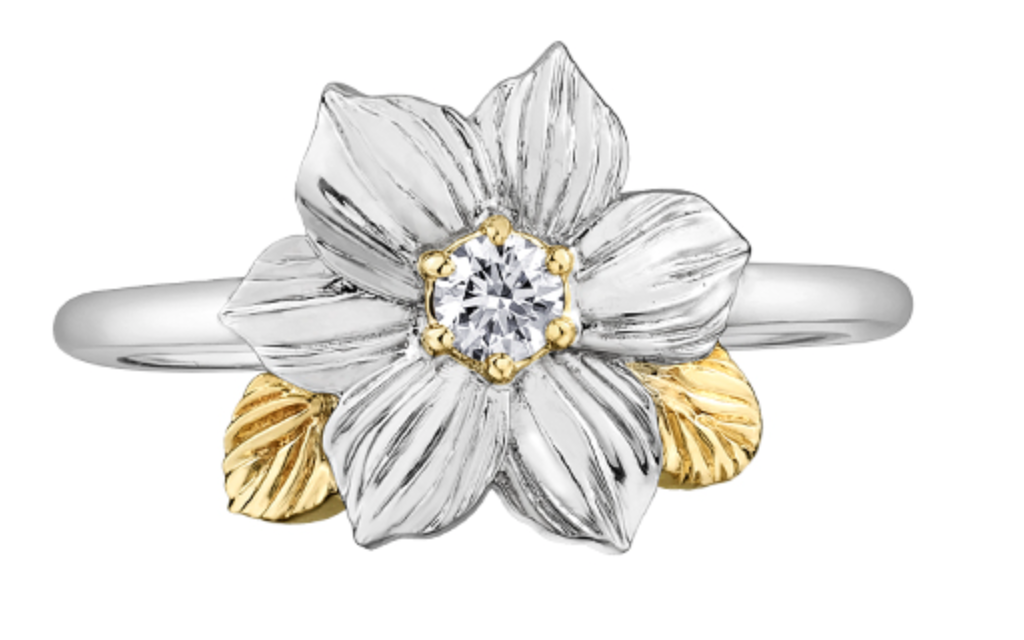 Anillo de diamantes con flor provincial de Columbia Británica de 0,10 quilates en oro blanco y amarillo de 14 quilates, talla 6,5