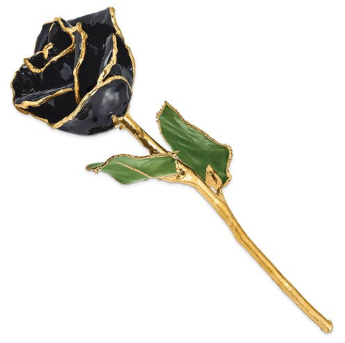 24K Lacquer Dipped Gold Trimmed Black Real Rose
