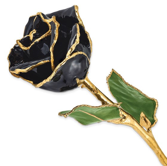 24K Lacquer Dipped Gold Trimmed Black Real Rose