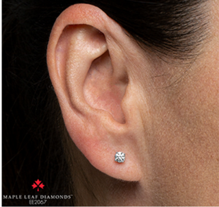 18K White Gold With Palladium Alloy (hypoallergenic) 0.15-2.00cttw Round Brilliant Canadian Diamond Earrings