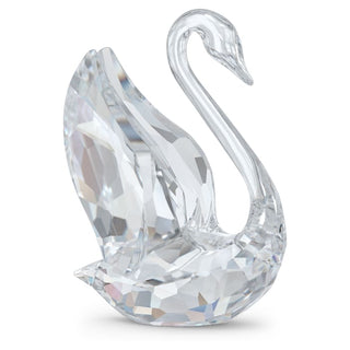 Signum Cisne, Cisne - 5613254 