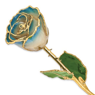 A lacquer-dipped gold trimmed real rose with white and navy blue petals.