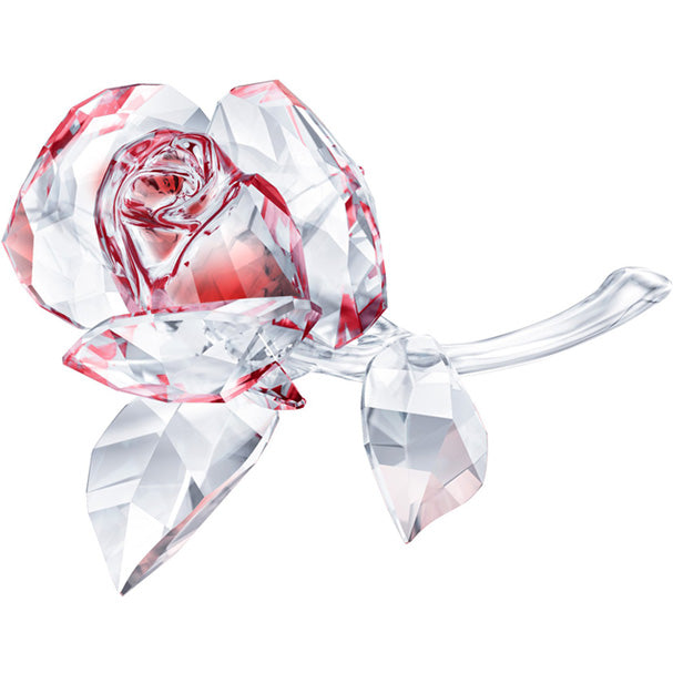 Swarovski Blossoming Rose, Red 5428561 - Core