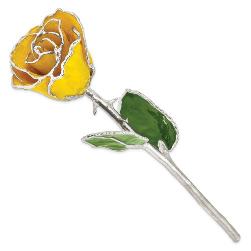 Yellow Lacquer Dipped Silver Trimmed Real Rose