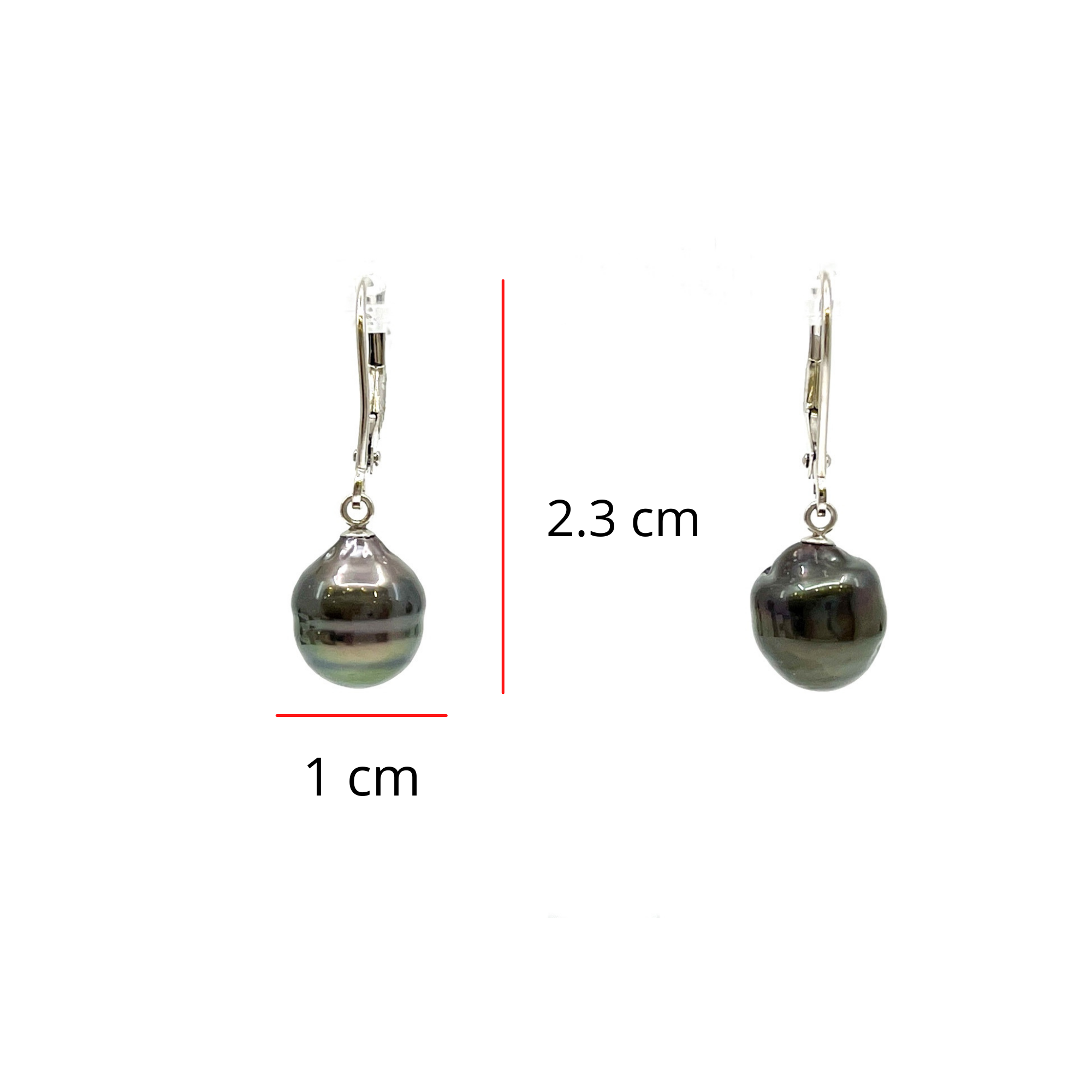 14K White Gold Tahitian Pearl Earrings with Lever Backs
