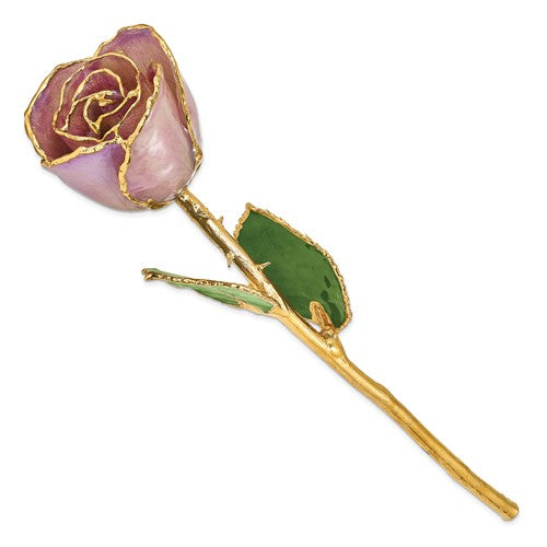 24K Lacquer Dipped Gold Trimmed Lavender Real Rose