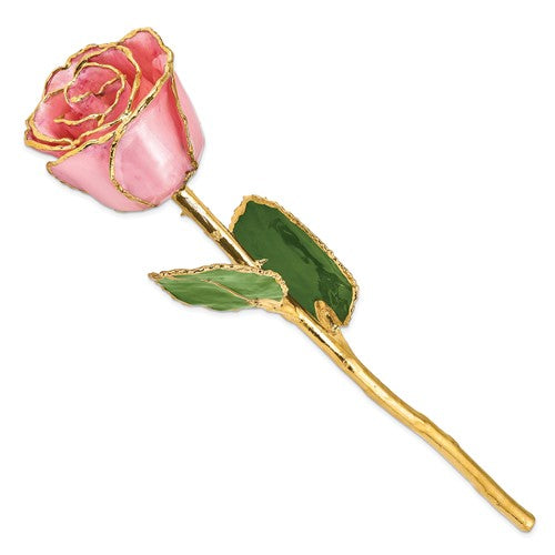 24K Lacquer Dipped Gold Trimmed Pink Pearl Real Rose