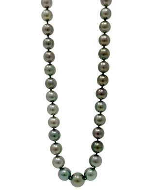 Hilo de perlas de Tahití de 9 a 12,3 mm de oro blanco de 14 quilates - 18"
