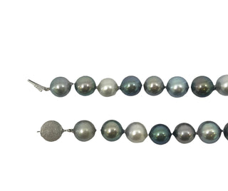 Hebra de perlas de Tahití multicolores de oro blanco de 14 quilates, 10-13 mm, 18"