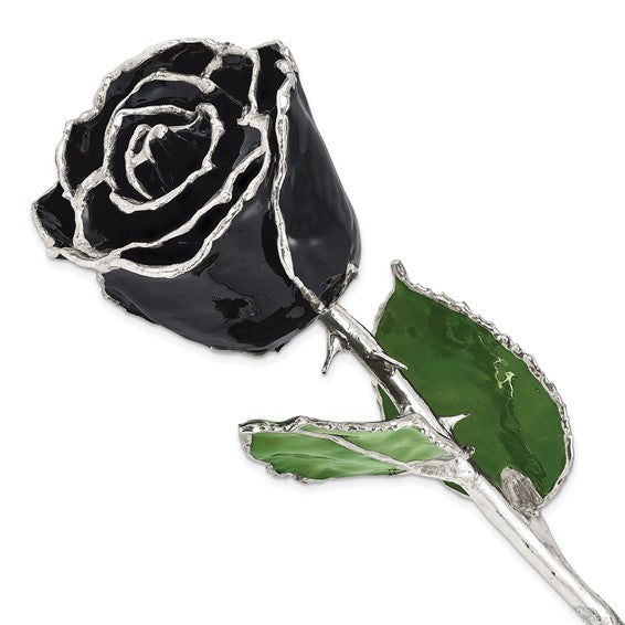 Black Lacquer Dipped Silver Trimmed Real Rose