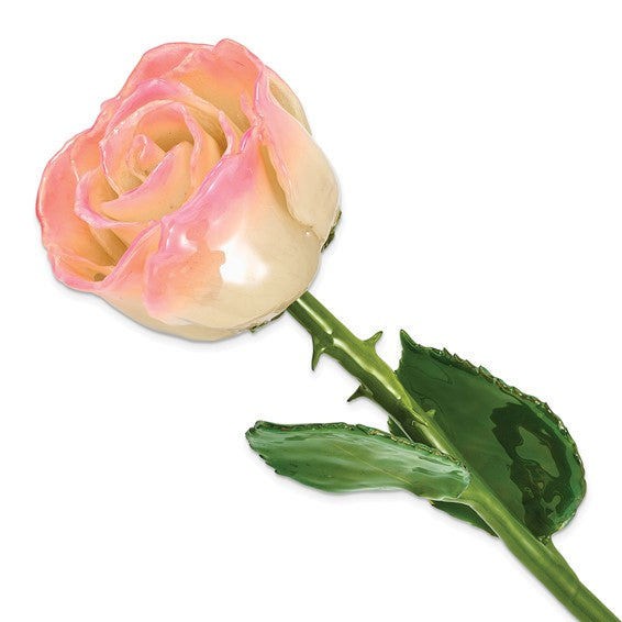 Rosa natural bañada en laca blanca/rosa con hojas y tallo verdes