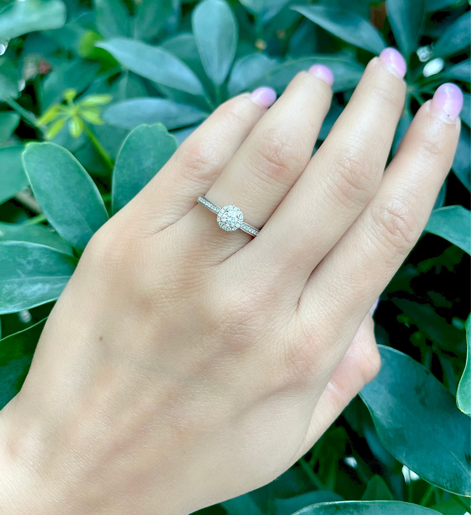 14K White Gold 0.31cttw Round Brilliant Cut Diamond Halo Engagement Ring, size 6.5