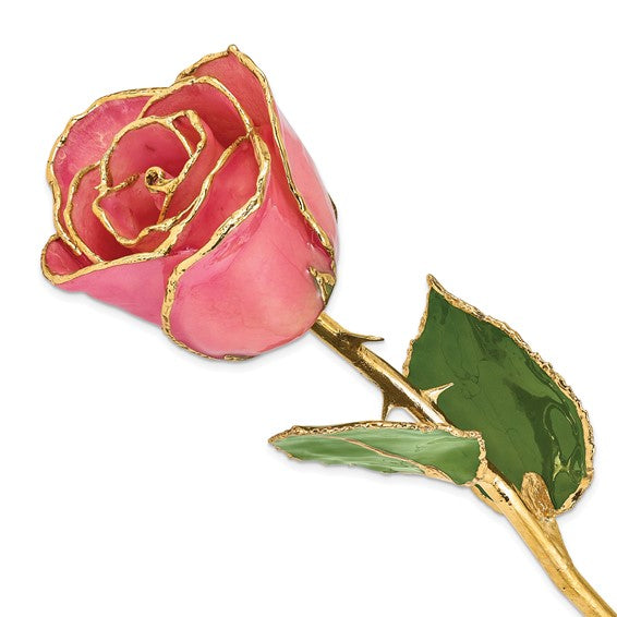 24K Lacquer Dipped Gold Trimmed Pink Real Rose