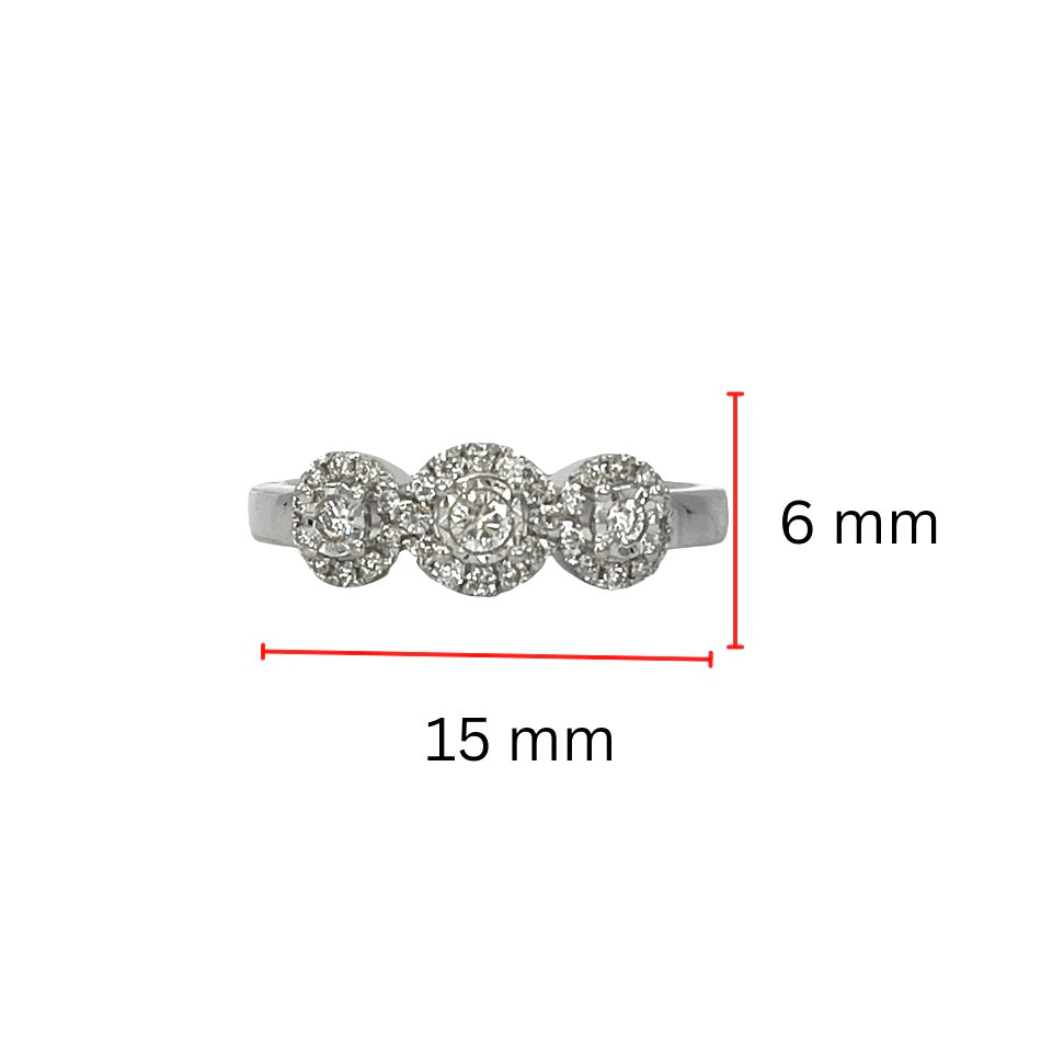 10K White Gold 0.25cttw Round Brilliant Cut 3 Stone Halo Diamond Ring