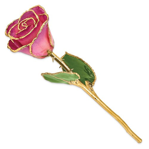 24K Lacquer Dipped Gold Trimmed Pink Picasso Real Rose