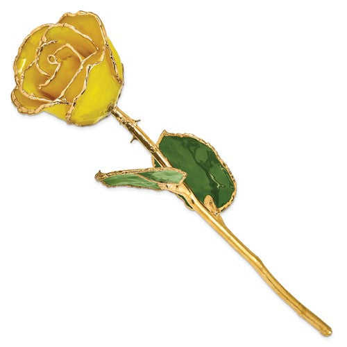 24K Lacquer Dipped Gold Trimmed Yellow Real Rose