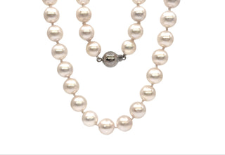 Hebra de perlas cultivadas blancas de 7,5 a 8,0 mm con cierre de perlas de oro blanco de 14 k - 20"