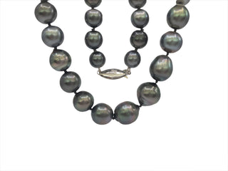 Black Tahitian Pearl Strand with 14K White Gold Pearl Clasp - 20"