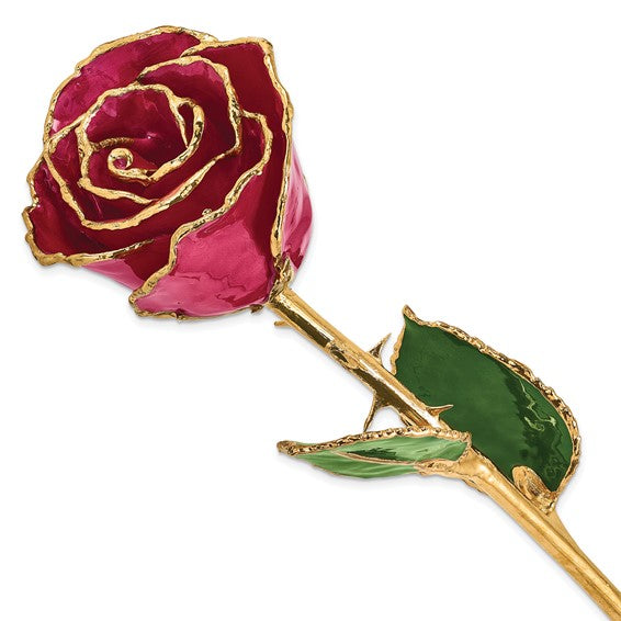 24K Lacquer Dipped Gold Trimmed Ruby Sun Real Rose