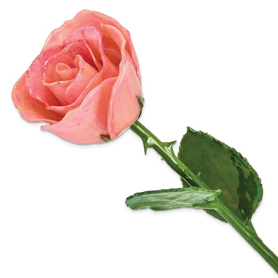 Rosa natural bañada en laca rosa con hojas y tallo verdes