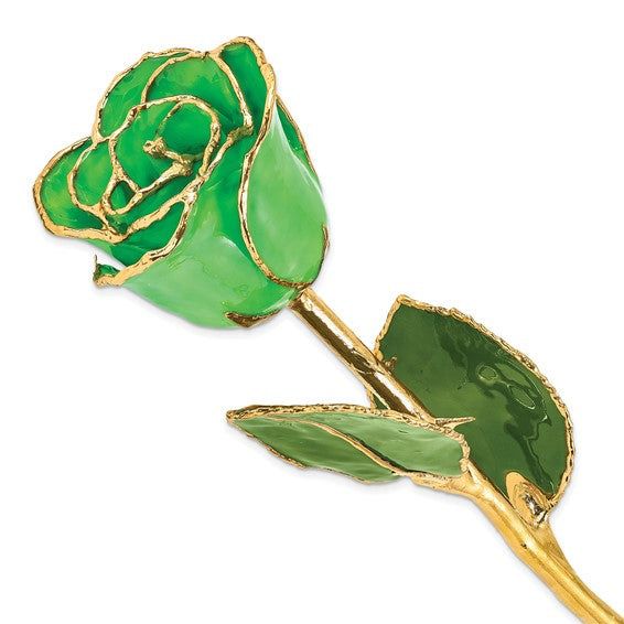 24K Lacquer Dipped Gold Trimmed Geo Green Real Rose