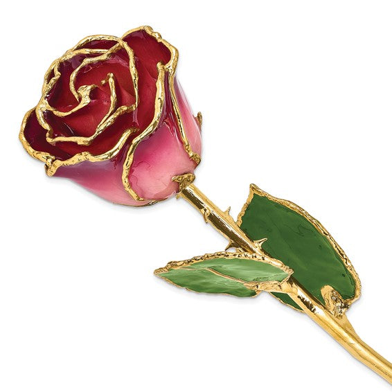Rosa real bañada en laca de 24 quilates con adornos de oro rosa y burdeos