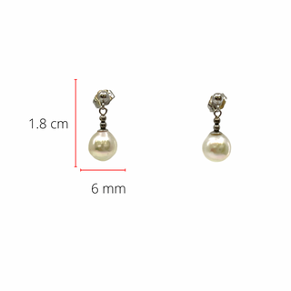 14K White Gold Fresh Water Pearl Earrings