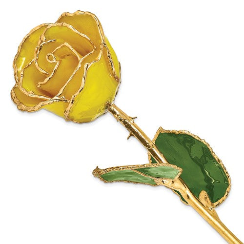 Rosa real amarilla bañada en oro lacado de 24 quilates