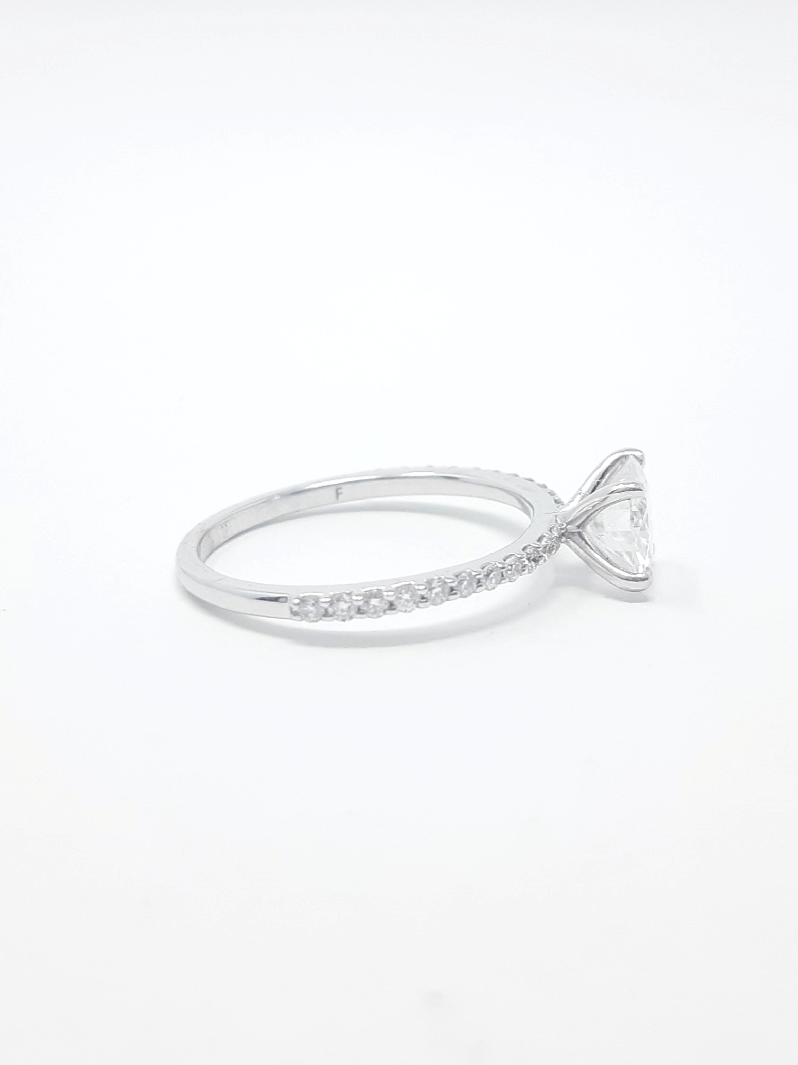 Diamond and Moissanite Engagement Ring